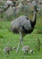 071127-zoo-plzen-n-01.jpg