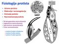 Minijatura za verziju na dan 16:44, 4. februar 2015.