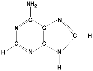 Strukturna formula adenina