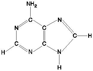 Adenin strukturno