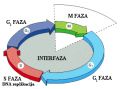 Minijatura za verziju na dan 12:51, 24. januar 2010.